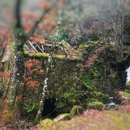Casa Da Forja Castro Laboreiro